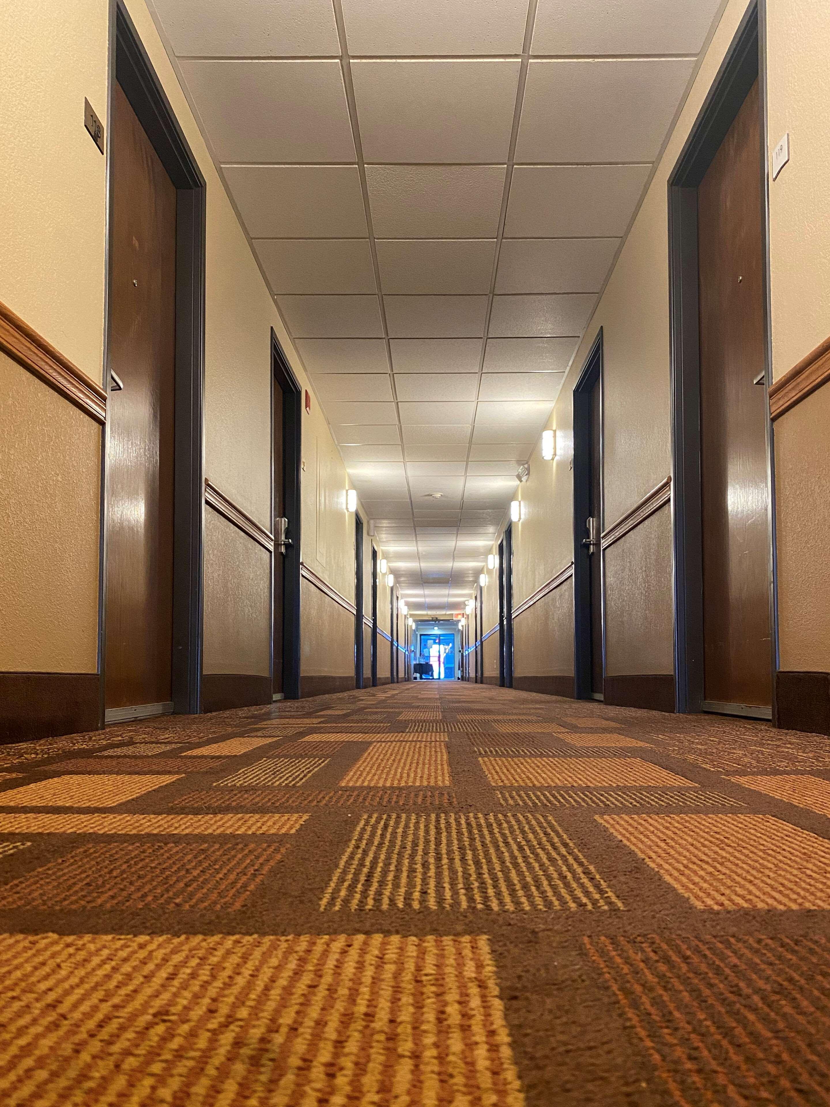Americinn By Wyndham Reedsburg מראה חיצוני תמונה